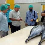 Investor Asal Malaysia Siap Pasarkan Ikan Tuna dari Gorontalo