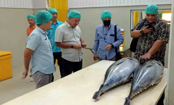 Investor Asal Malaysia Siap Pasarkan Ikan Tuna dari Gorontalo