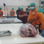 Exco Malaysia Bersama DKP Gorontalo Kunjungi Pengolahan Ikan Tuna
