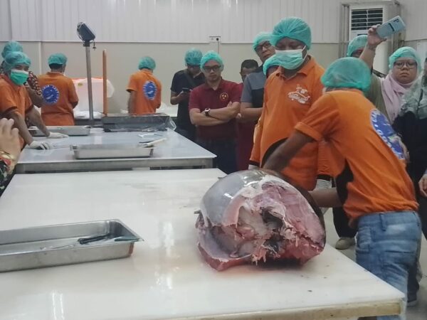 Exco Malaysia Bersama DKP Gorontalo Kunjungi Pengolahan Ikan Tuna