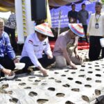 Penjagub Gorontalo Panen-Tanam “Barito” di Desa Buhu