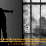 Dinas P3A Provinsi Gorontalo Siap Lakukan Pendampingan Hak Asuh Anak Korban Kekerasan