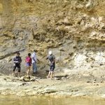 Fosil Kayu Tohupo Tarik Minat Sekjen GGN