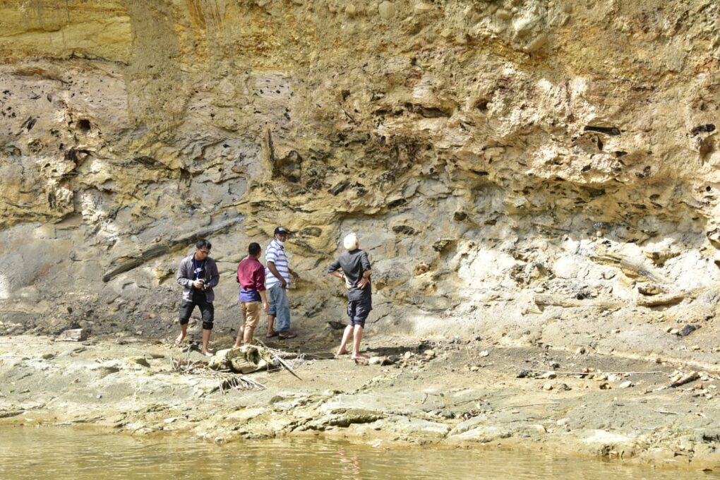 Fosil Kayu Tohupo Tarik Minat Sekjen GGN