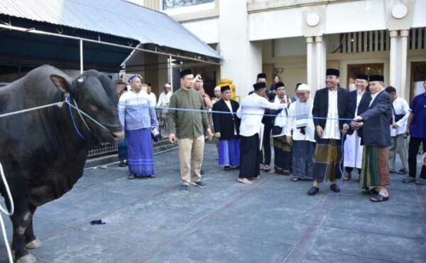 Penjagub Gorontalo Serahkan Sapi Bantuan Presiden RI ke Masjid Baiturrahim