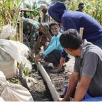 TMMD Ke-117 Bangun Jalan, Wujudkan Harapan Warga Desa Tongo Dan Kemiri