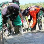 TMMD Ke 117 Kodim 1304/Gorontalo Memasuki H+14, Ini Capaian Progresnya