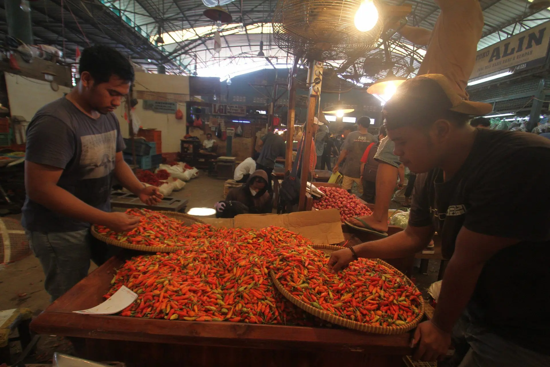 Harga Cabai Rawit Semakin Pedas, Apa Kerjanya Bapanas?