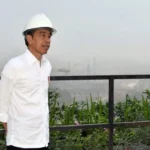 Resmikan PLTS di IKN, Jokowi Optimis Emisi Karbon Tergerus 104 Ribu Ton