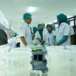 Pj Ketua TP-PKK Provinsi Sumatera Utara Bersama Ketua TP PKK Asahan Kunjungi PT. Hijau Surya Biotechindo