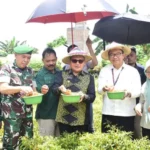 Germas Matahari Libatkan Sektor Pendidikan