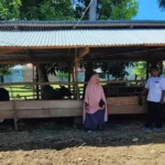 Bertambah 40, Jumlah Hewan Qurban Diawasi Dinas KPP Kini jadi 236 Ekor
