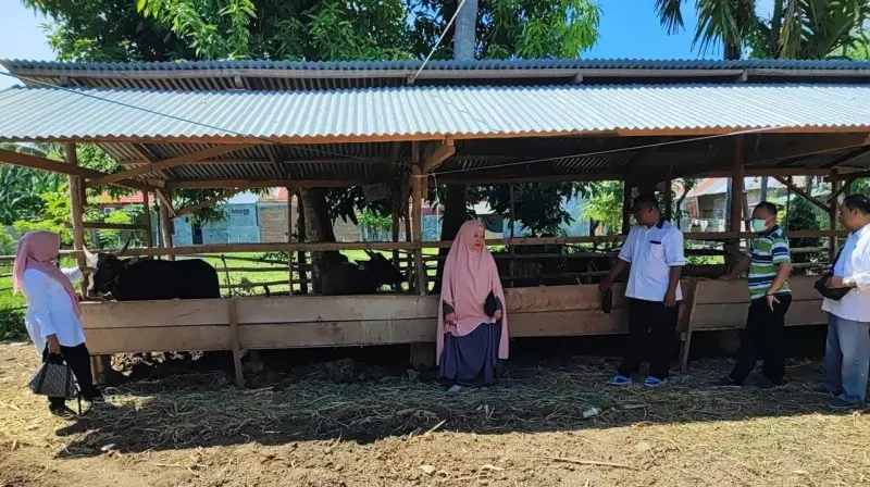 Bertambah 40, Jumlah Hewan Qurban Diawasi Dinas KPP Kini jadi 236 Ekor
