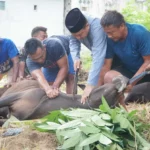 Sekwan : Maknai Qurban dengan Keikhlasan yang Sudah Contohkan Oleh Nabi Ibrahim dan Ismail