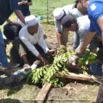 Majelis Muhyin Nufuus Gorontalo Sembelih 12 Hewan Kurban