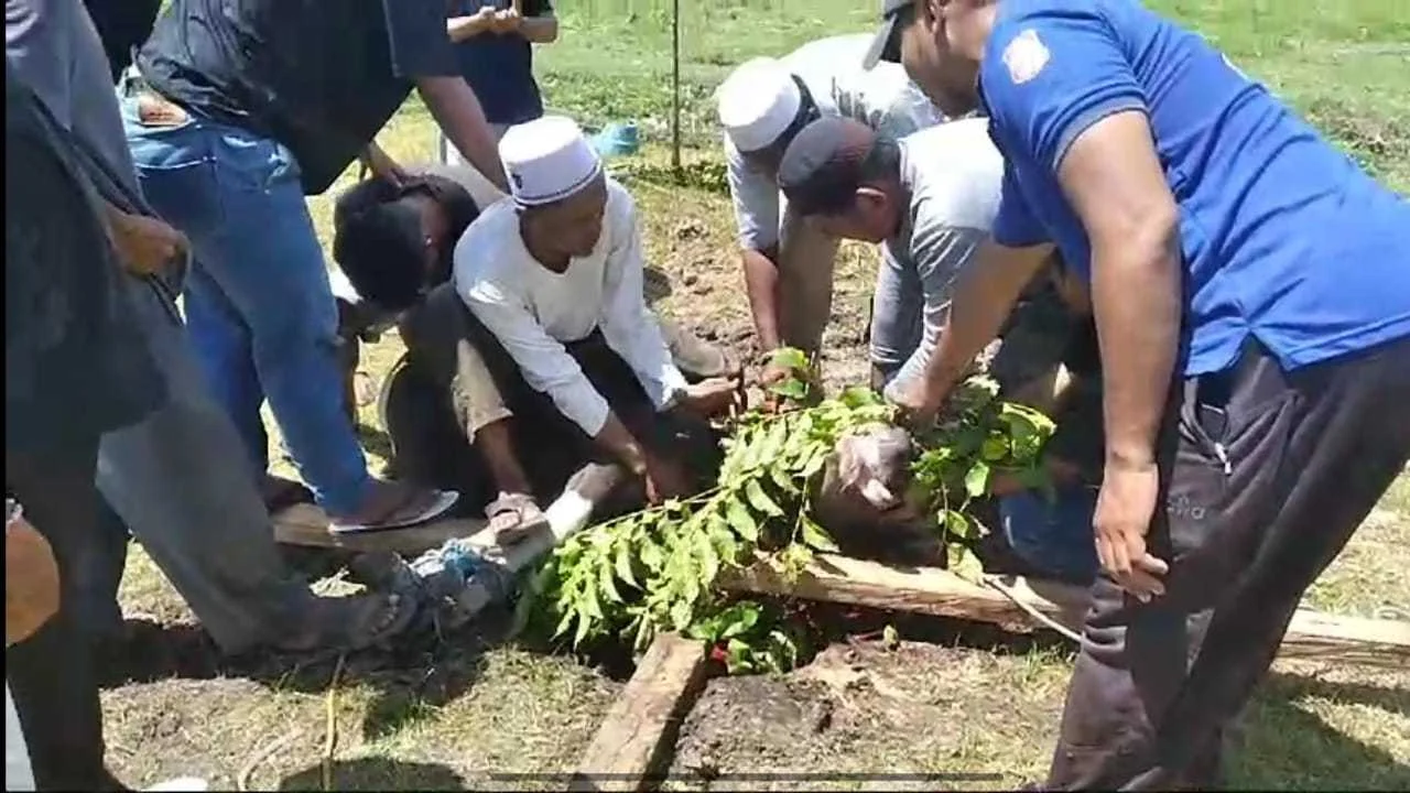 Majelis Muhyin Nufuus Gorontalo Sembelih 12 Hewan Kurban