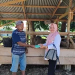 Jelang Idul Adha, Dinas KPP Pantau Kesehatan Hewan Qurban