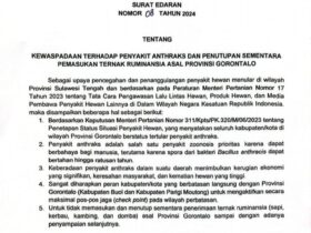 Pemprov Bantah Ternak Gorontalo Tertular Antraks