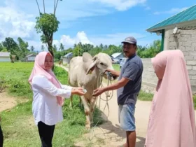 Tak Usah Cemas, Kota Gorontalo Aman dari Anthraks