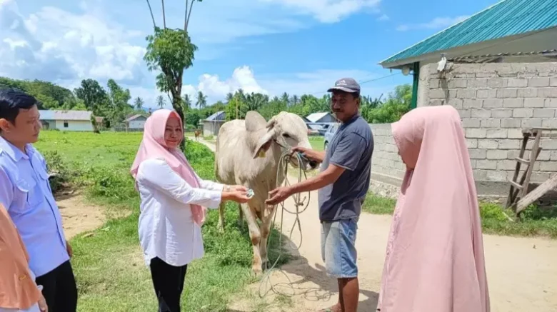 Tak Usah Cemas, Kota Gorontalo Aman dari Anthraks